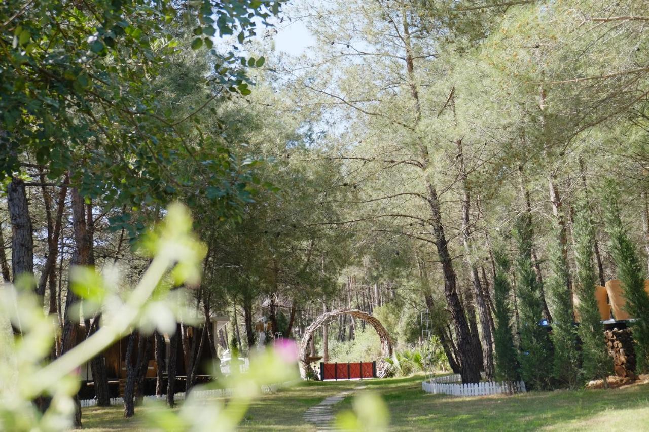 Hotel Mossa Afkule Kayakoey Fethiye Exteriér fotografie