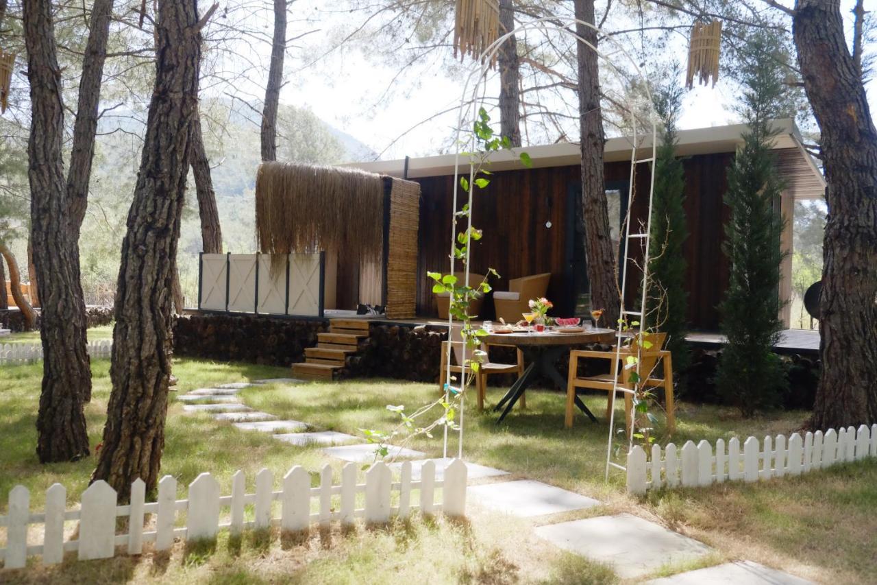 Hotel Mossa Afkule Kayakoey Fethiye Exteriér fotografie